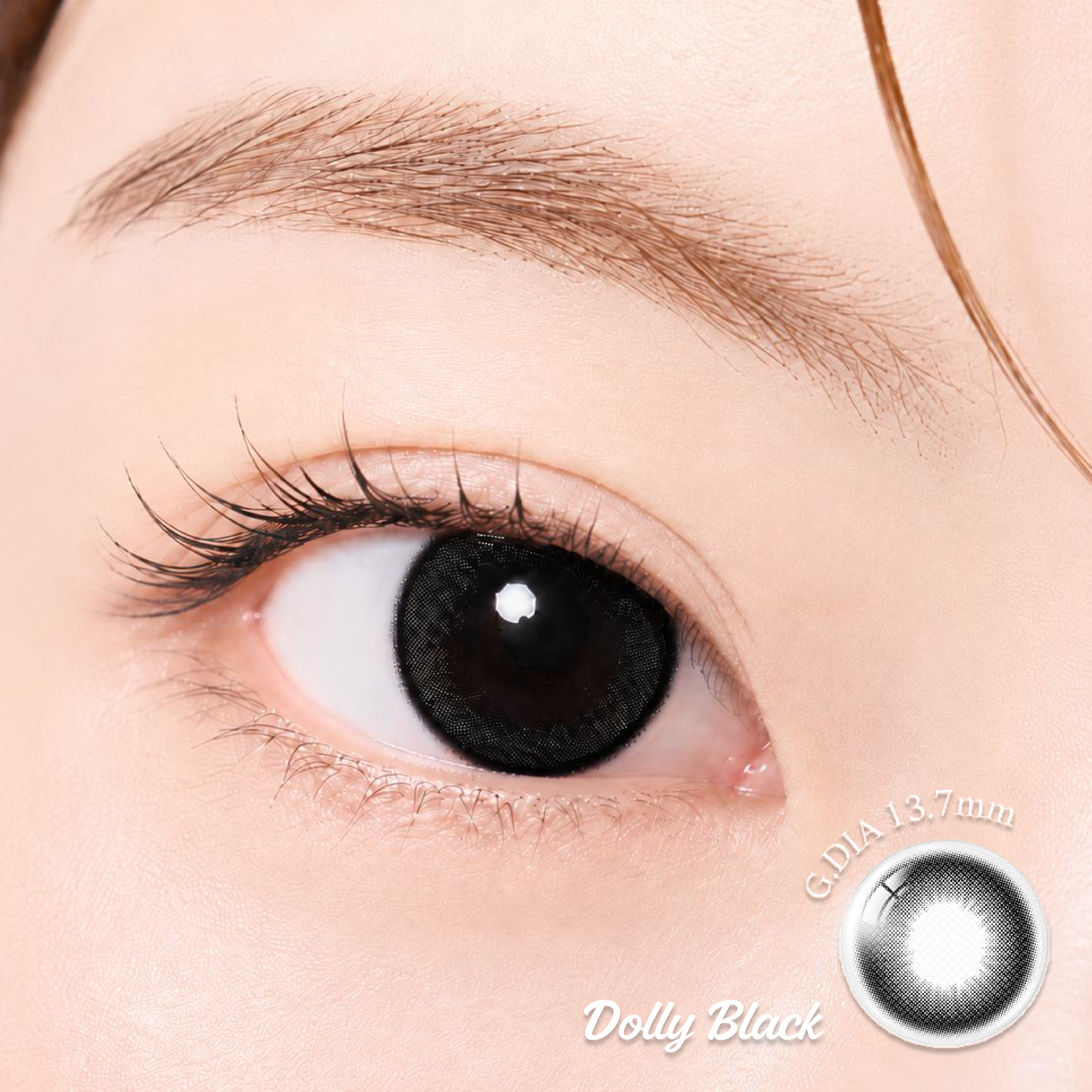 lens-lin-black 07