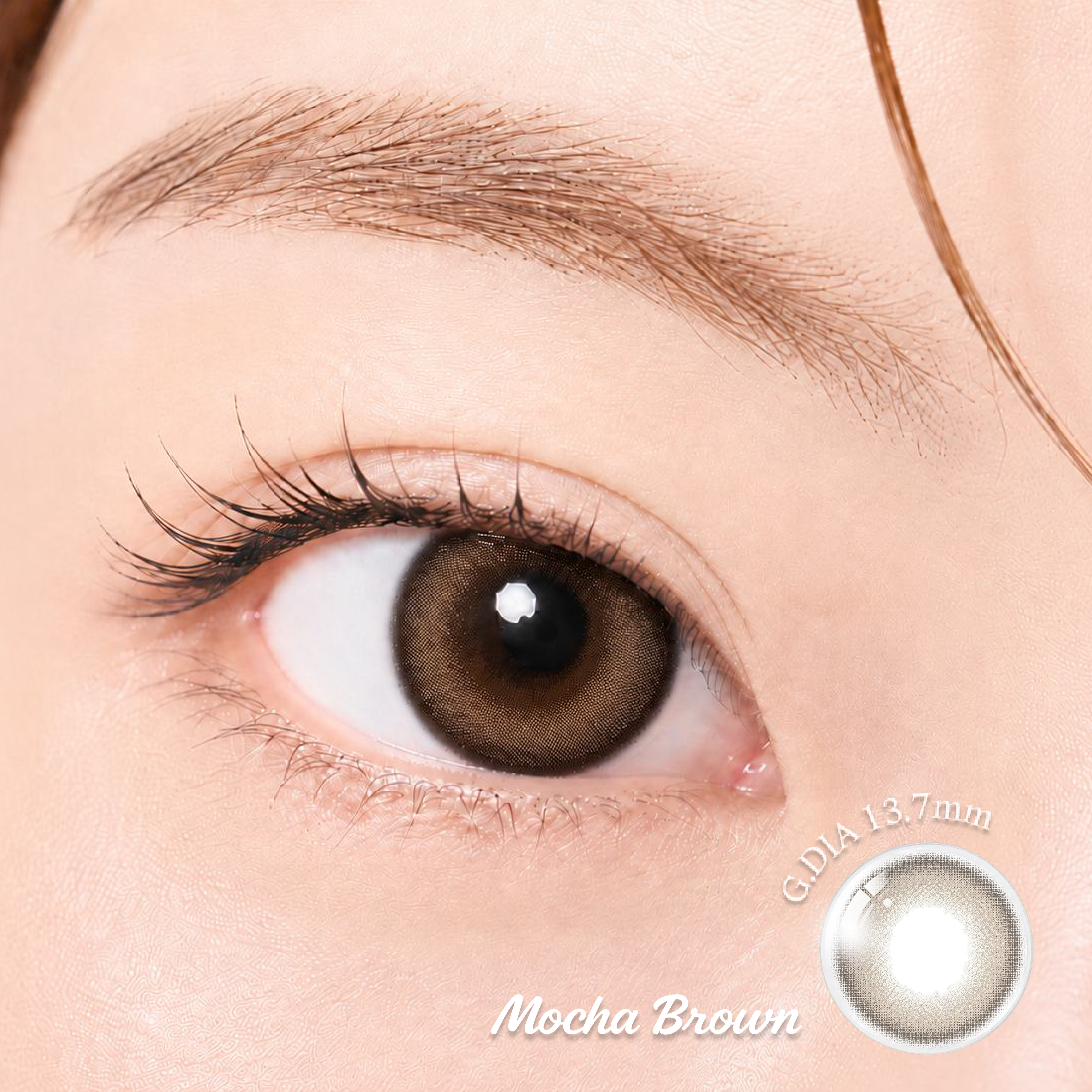 lens-lin-brown 07